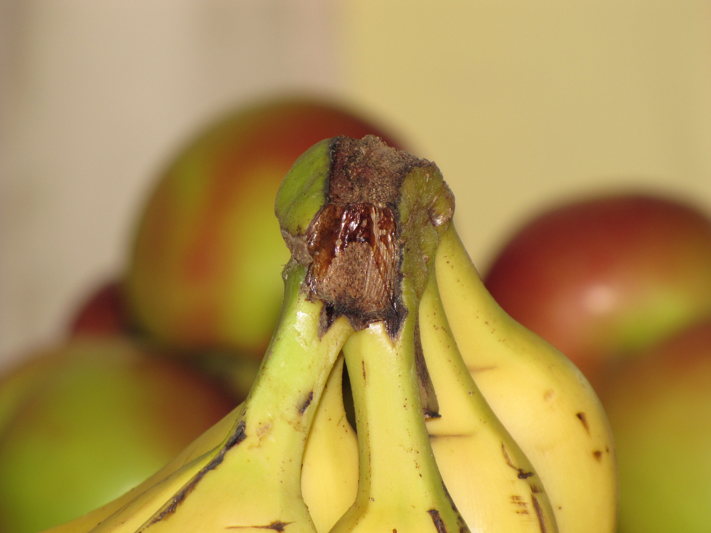 Bananen vs Äpfel!