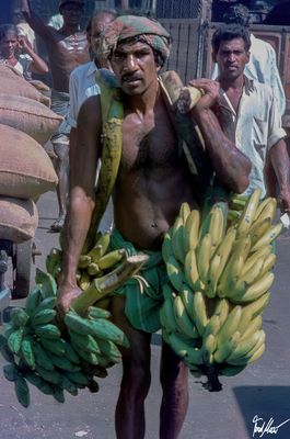 Bananen zu verkaufen / Bananas for sale