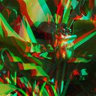  Bananenblüte - Anaglyphen