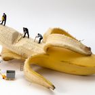 Bananenernte