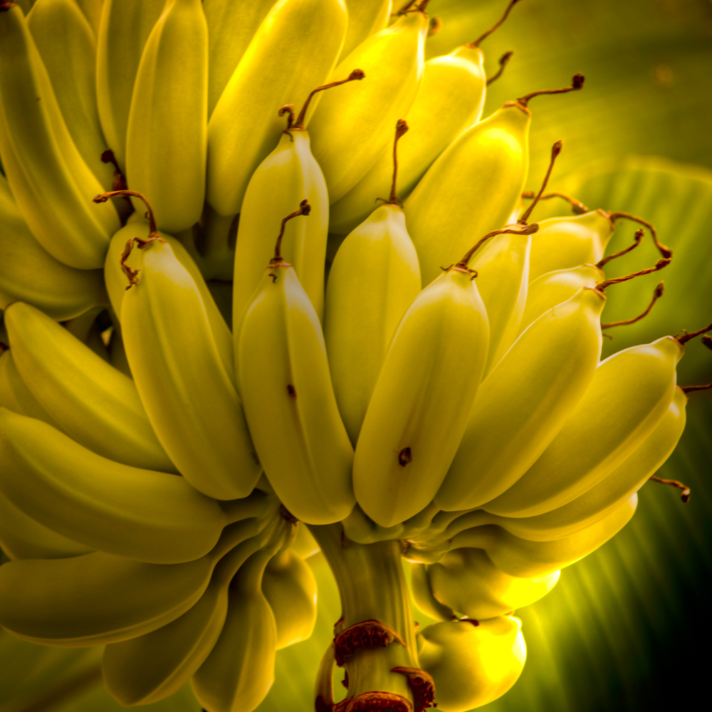 Bananenhimmel