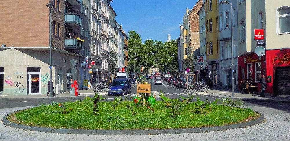 Bananenplantage mitten in der Stadt