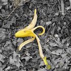 Bananenschale gelb
