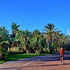 Bananenstauden im Turia Park