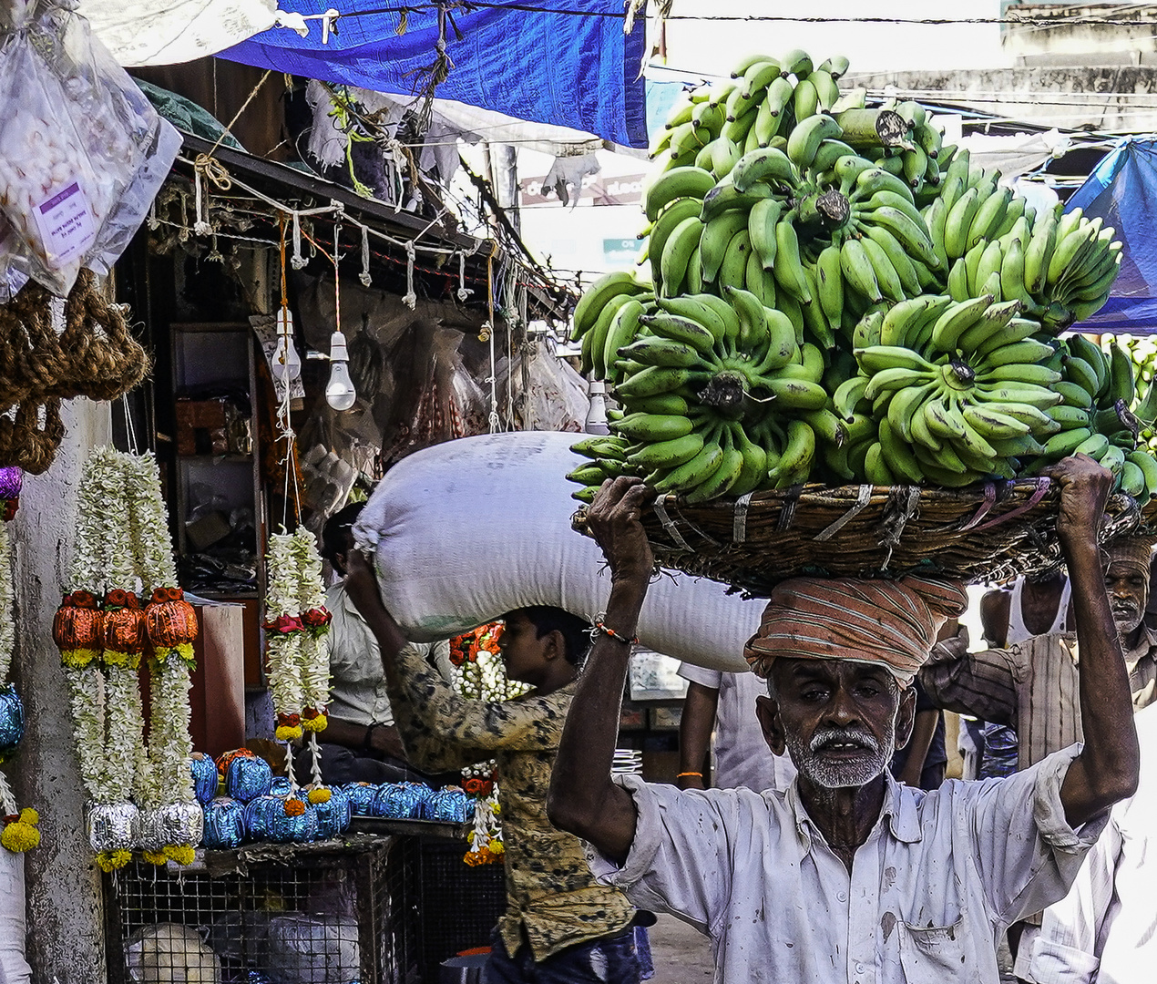 Bananenträger Mysore Indien