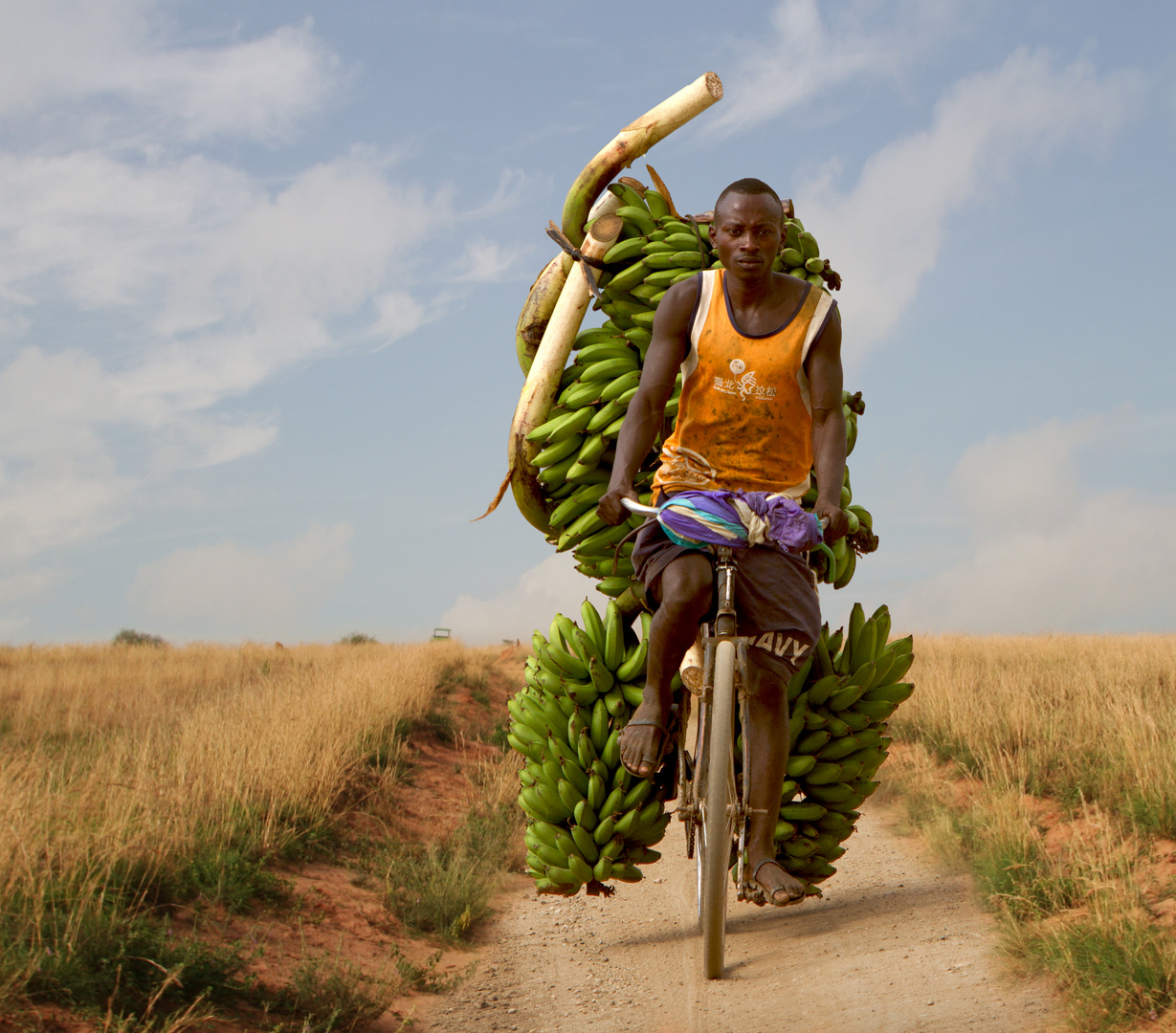 Bananentransport