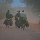 Bananentransport im Morgendunst (West- Uganda)