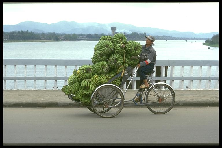 Bananentransport in Hue