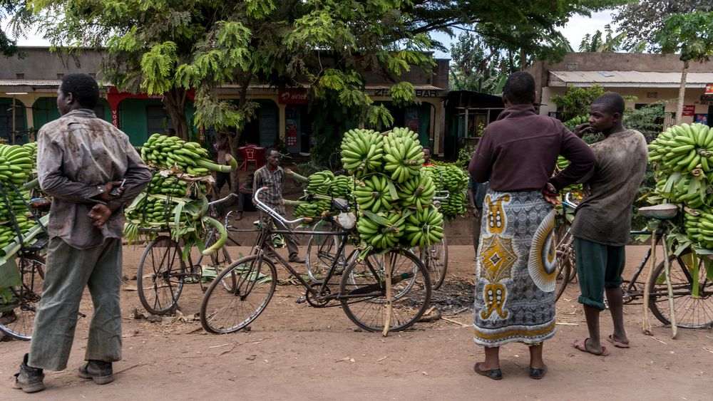 Bananenverkäufer in Tansania