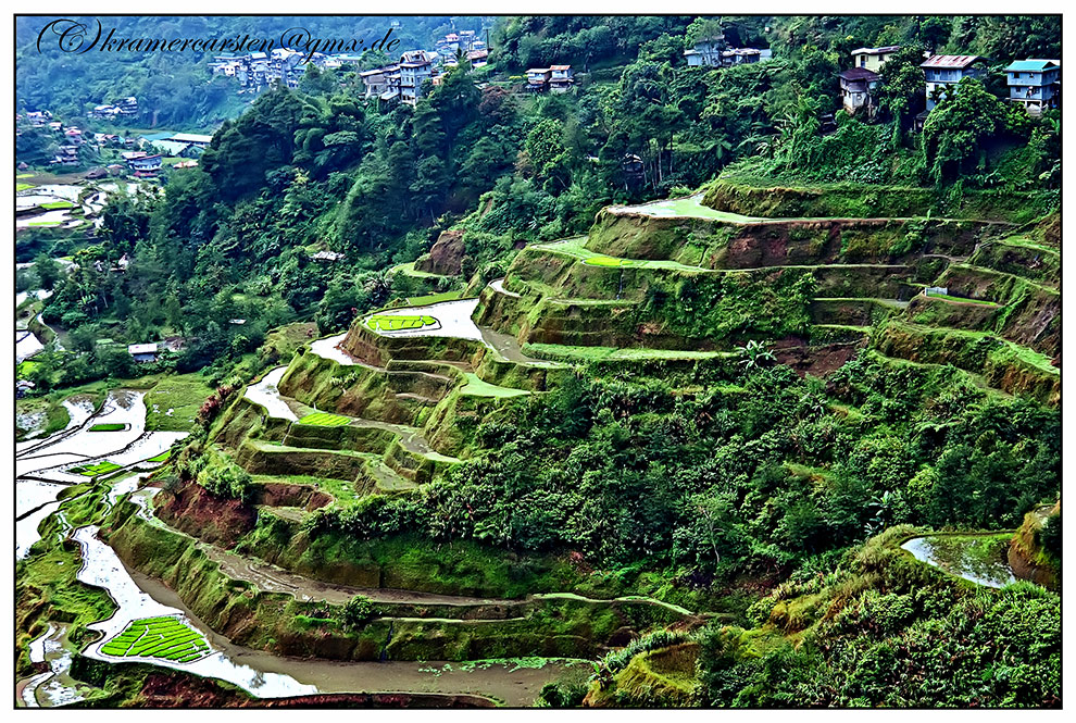 Banaue, Reisterassen