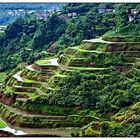 Banaue, Reisterassen