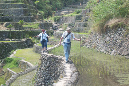 Banaue Reisterassen