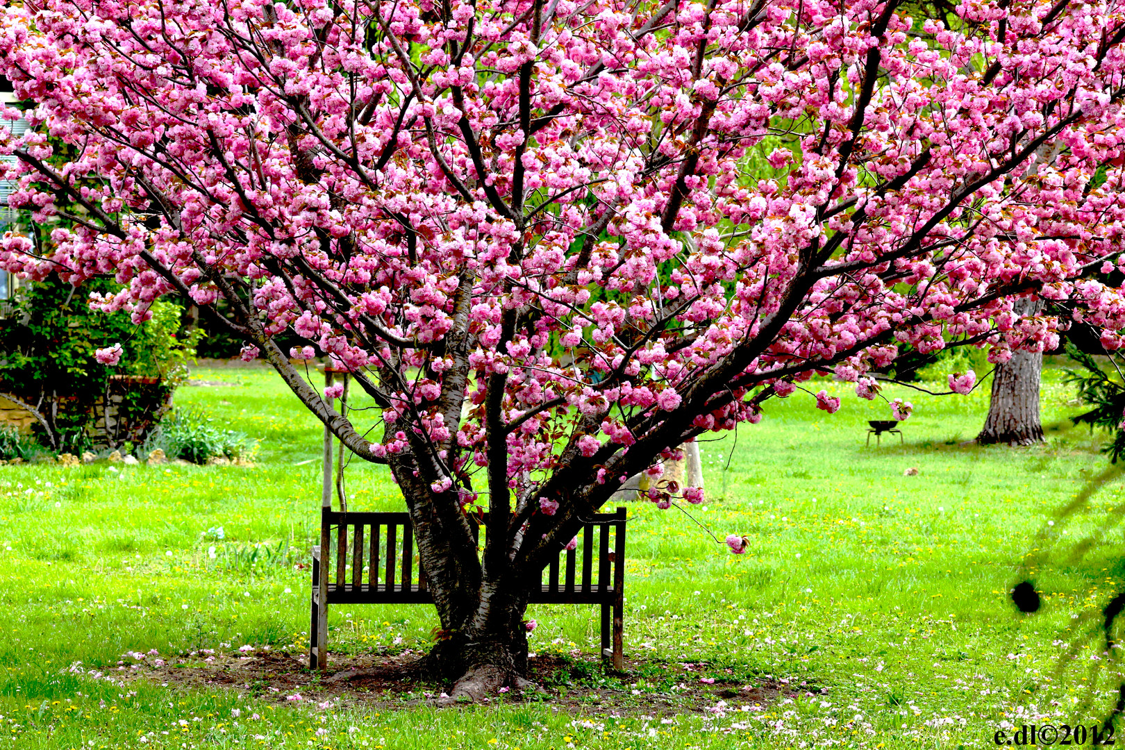 banc dans la nature