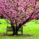 banc dans la nature