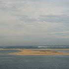 banc d'Arguin, bassin d'Arcachon