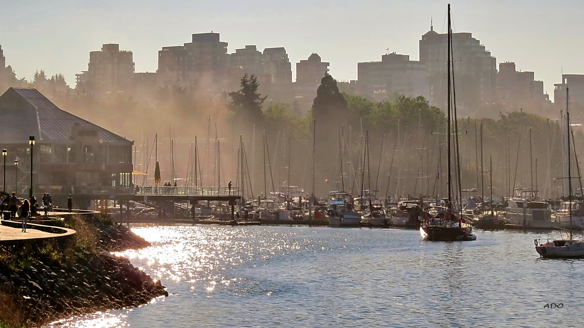 banc de brouillard sur False Creek