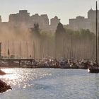 banc de brouillard sur False Creek