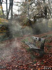 Banc de brume