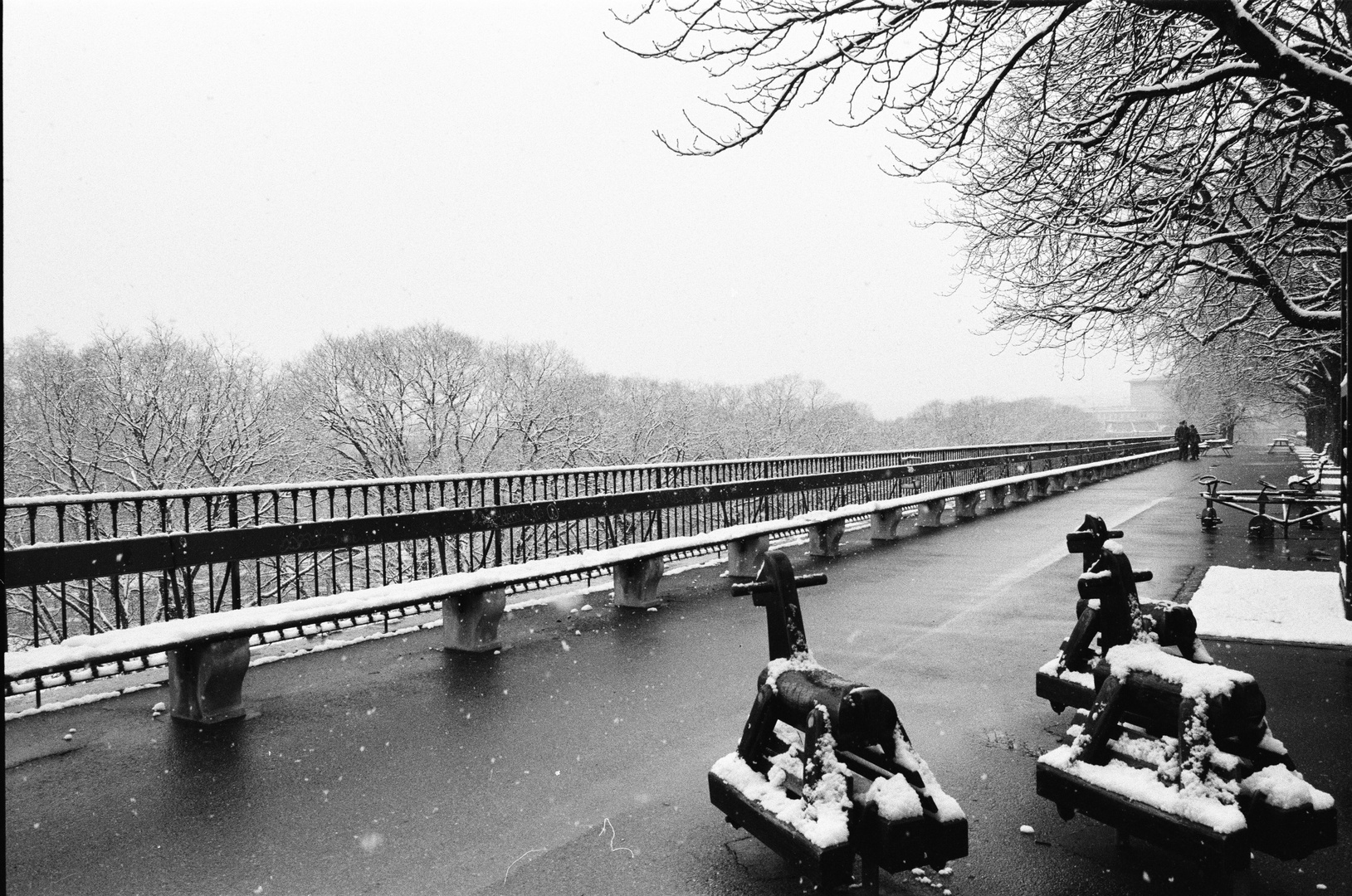 Banc de la Treille, Genève