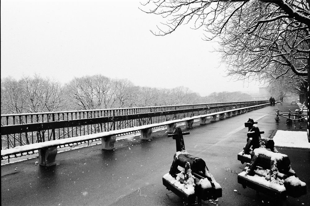 Banc de la Treille, Genève