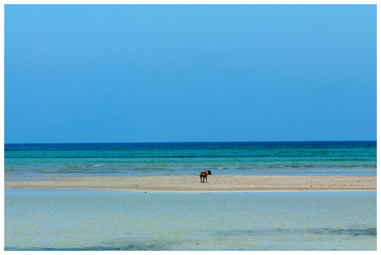 Banc de sable