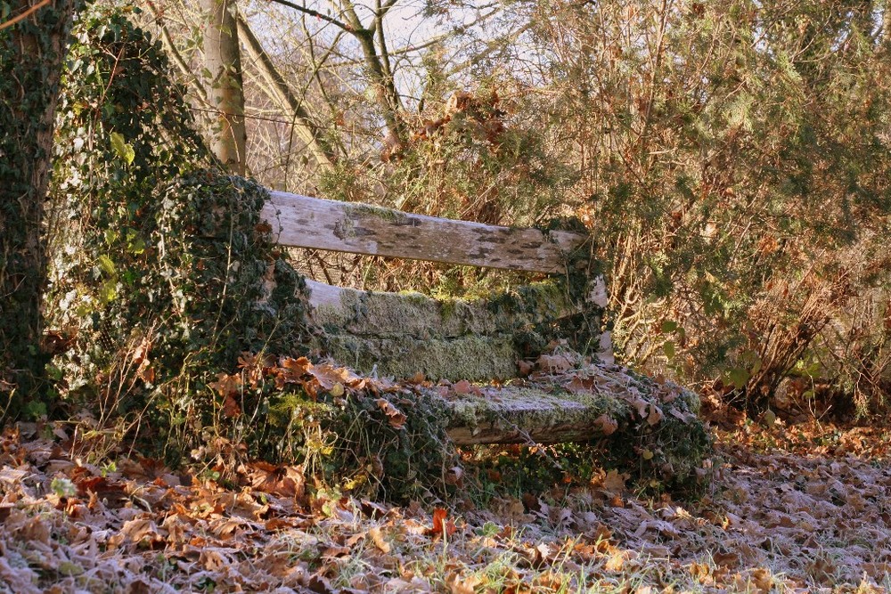 Banc en automne