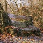 Banc en automne