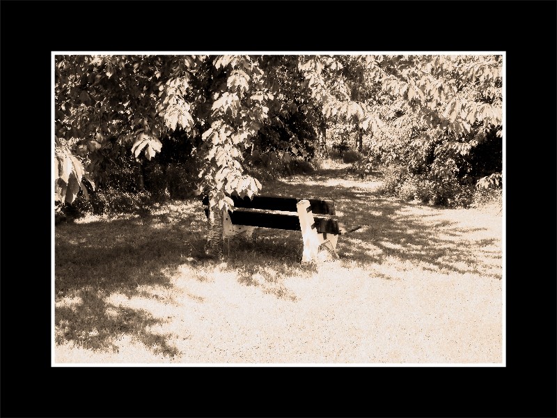 banc sepia