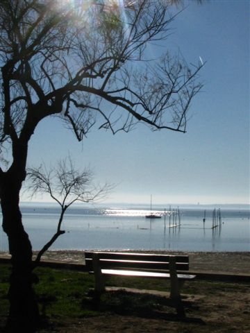 Banc solitaire, bassin d'Arcachon