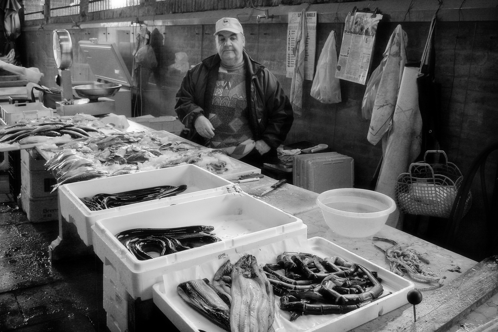 Banco del pesce.