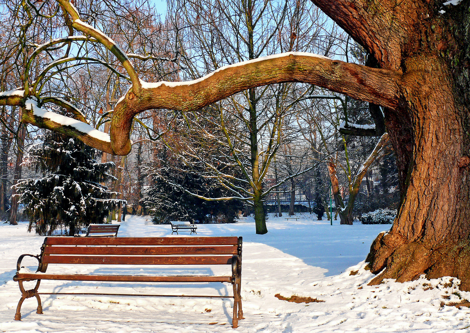 Bancs désertés