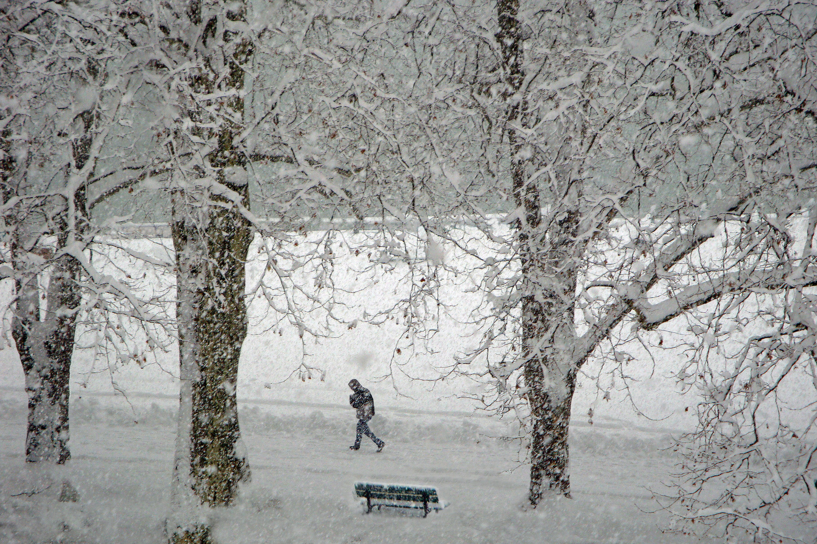 Bancs publics, lac d'Annecy, 