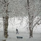 Bancs publics, lac d'Annecy, 