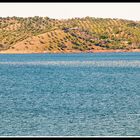 Banda de Aves, disfrutando del sol y reposando en el Agua del Pantano.