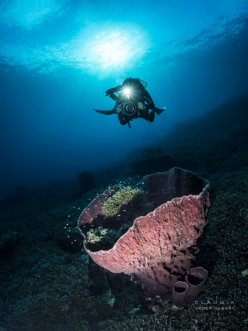 Banda Sea - INdonesien