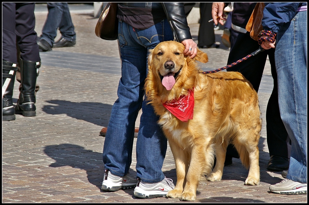 Bandana