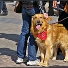 Bandana