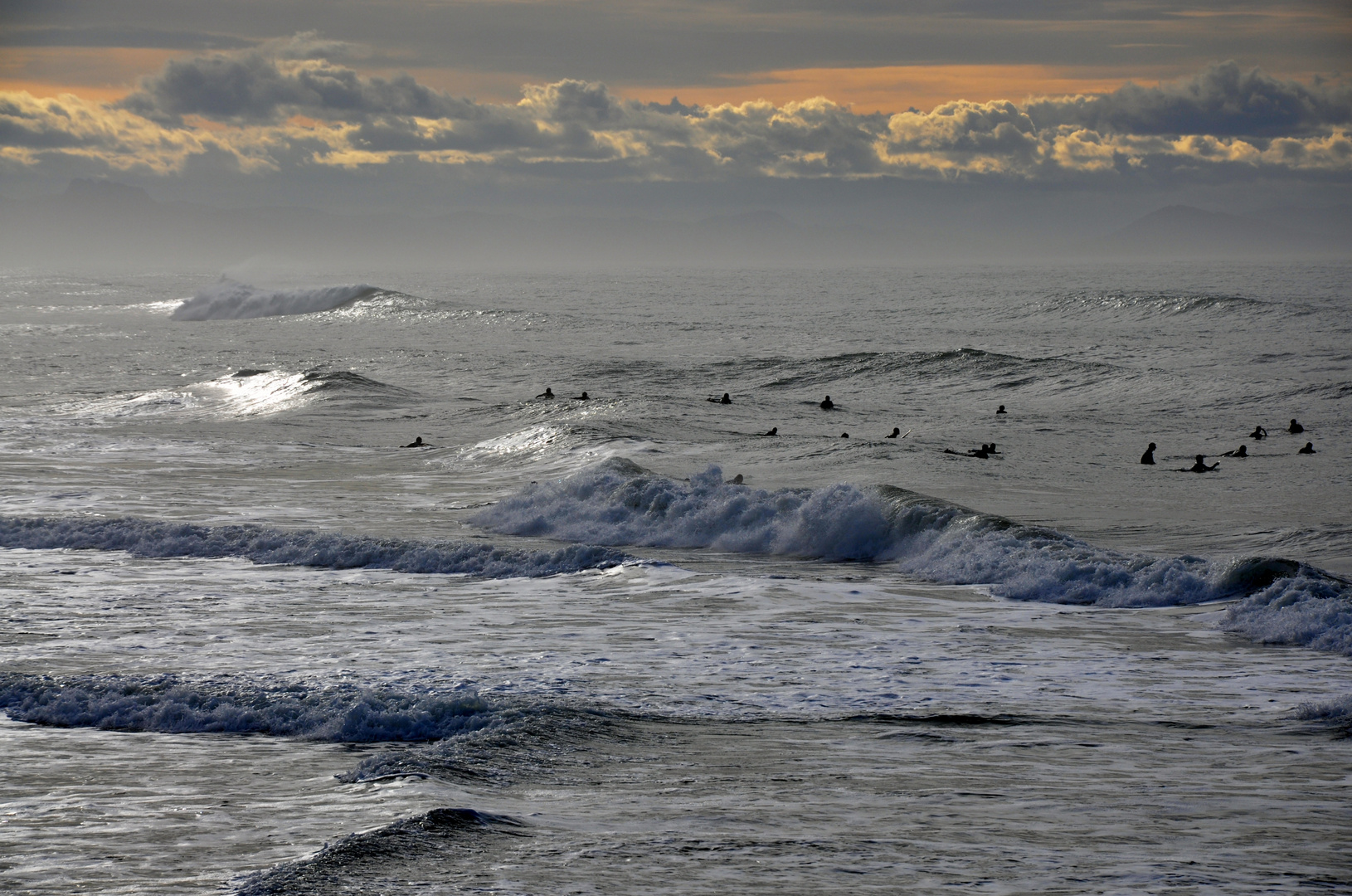 Bande de phoques ou surfeurs ??