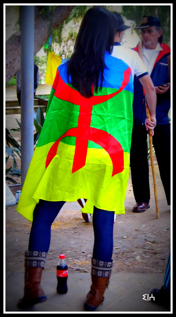 Bandera Amazigh