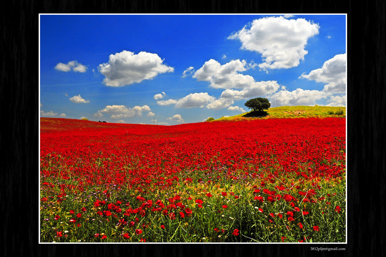 Bandera de colores