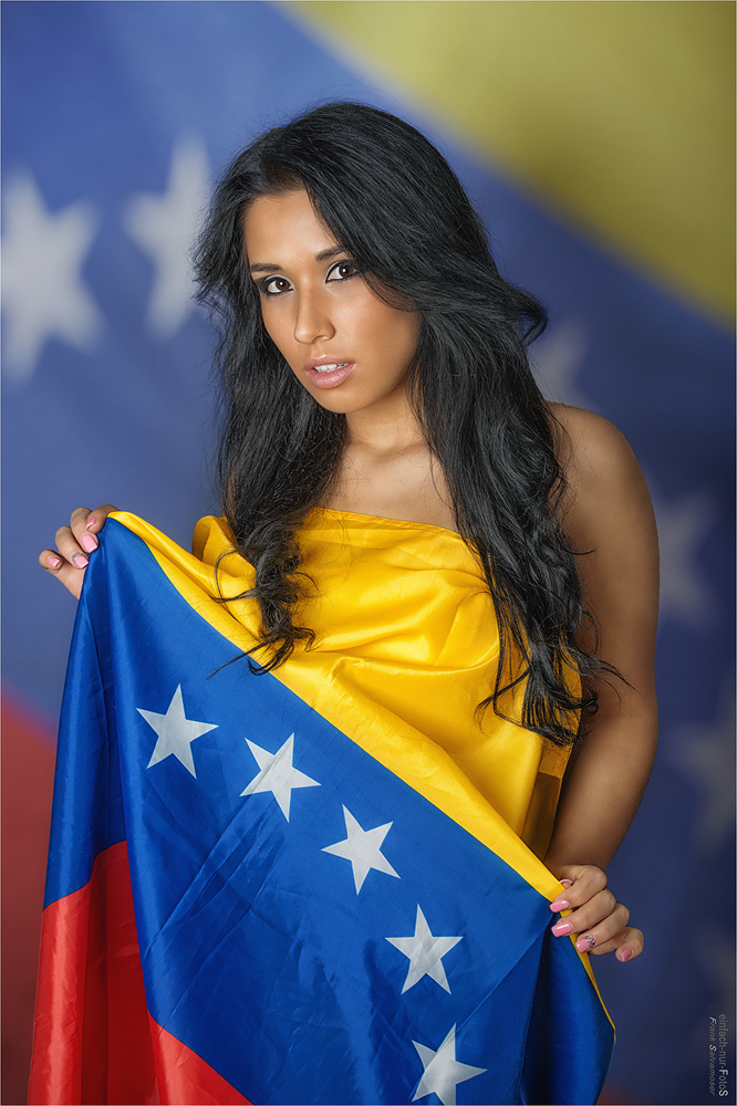 Bandera de Venezuela ii