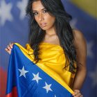 Bandera de Venezuela ii
