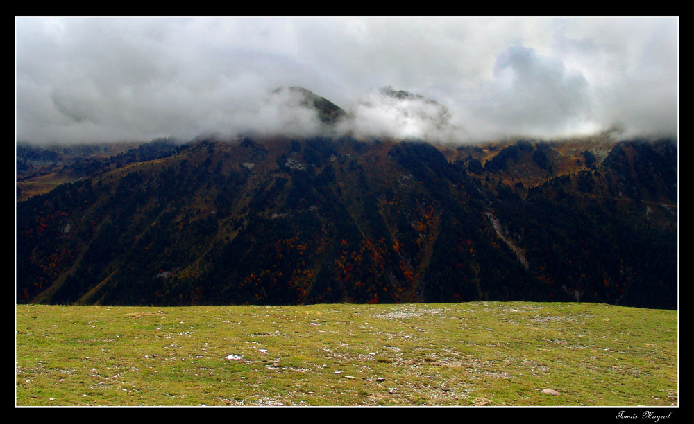 Bandera Natural