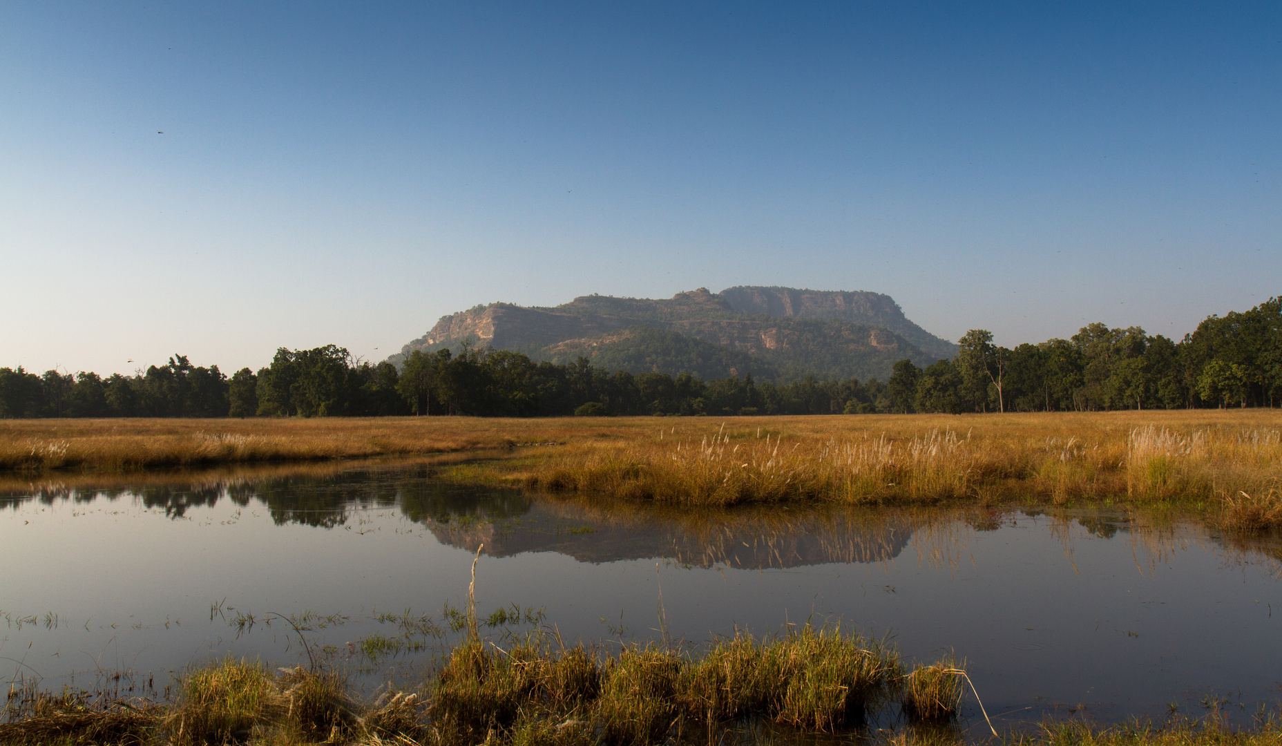 Bandhavgarh