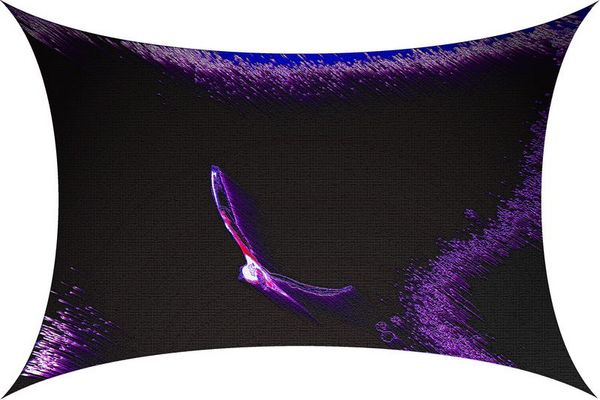 bandiera di libertà