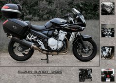 Bandit 1250 S