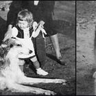 Bandit, der größte Hund der Welt.