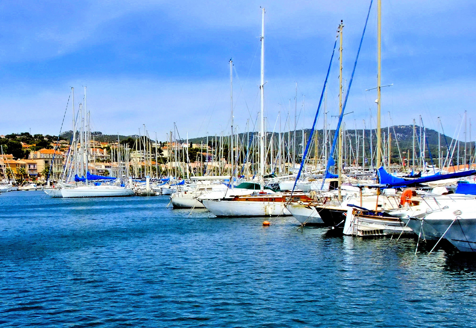 Bandol