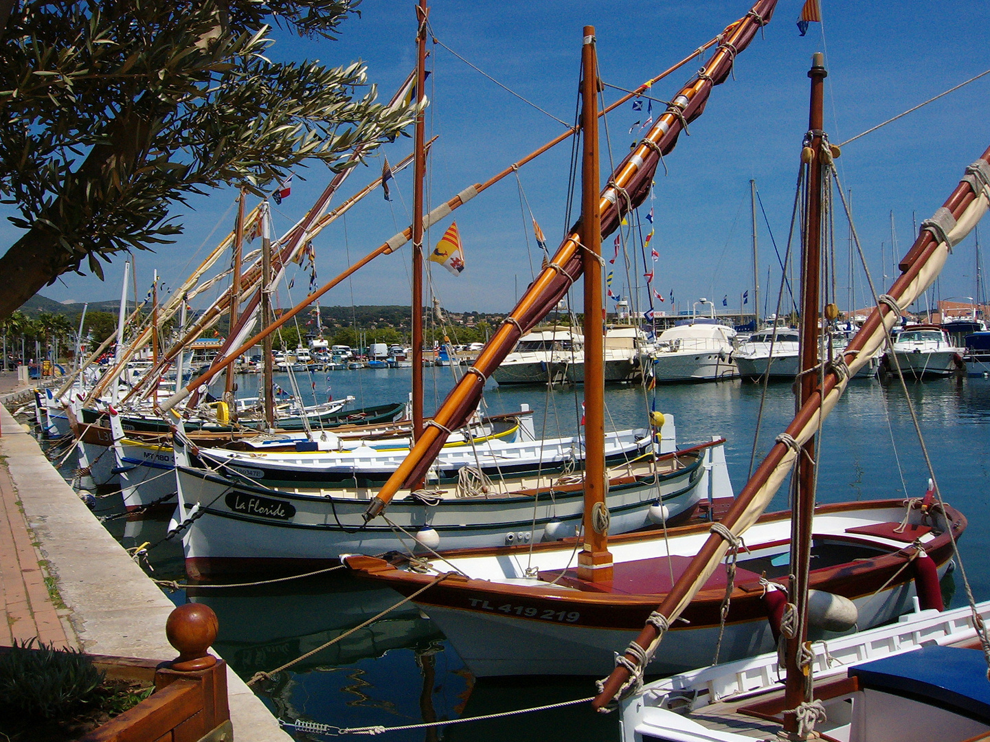 Bandol. Alignement de pointus