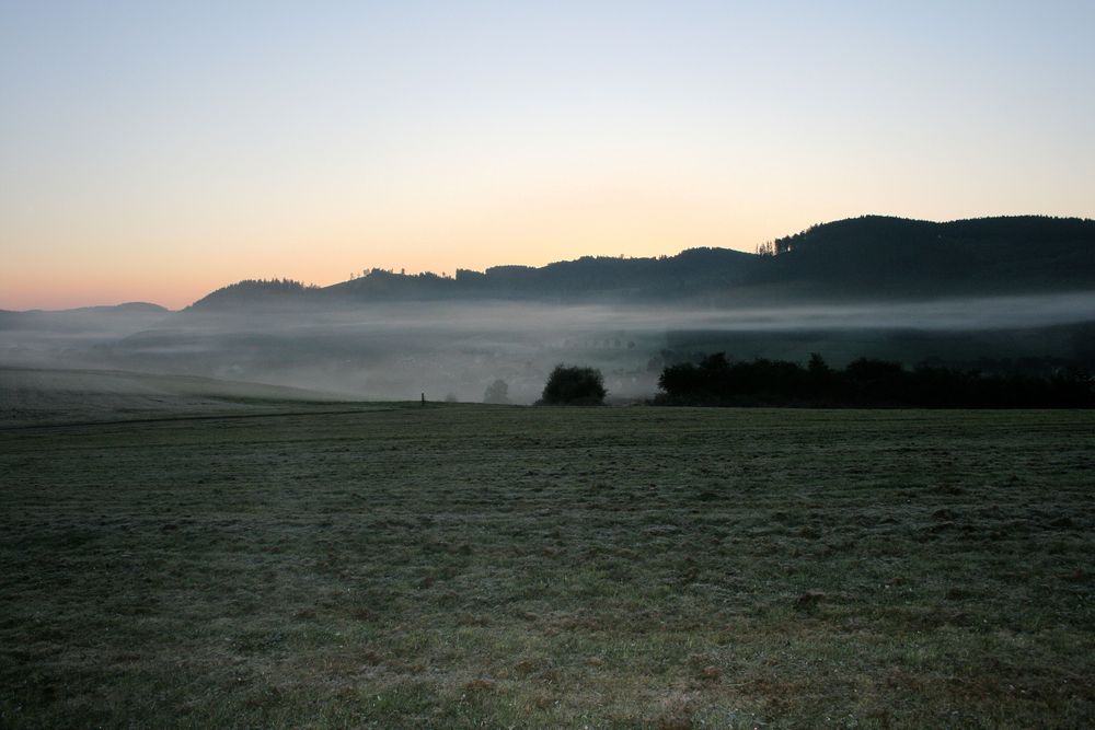 Banfe im Nebel (2)